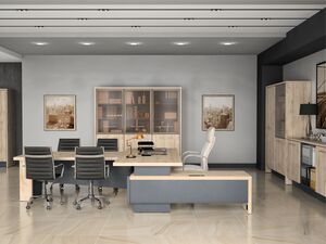 Кабинет руководителя Торстон