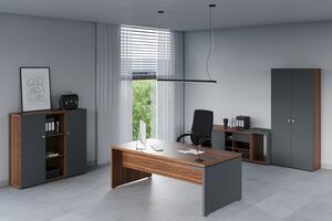 Кабинет руководителя Zion