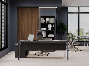 Кабинет руководителя STYLE PROJECT DIRECT LUX